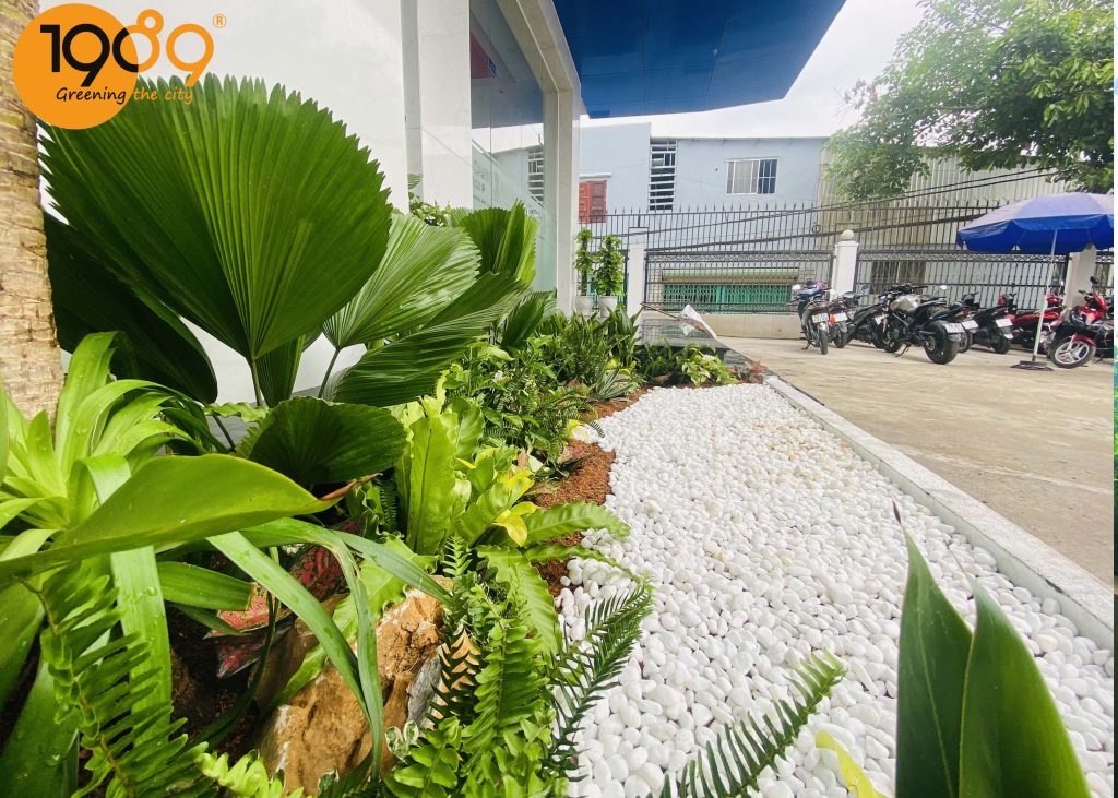9 Lý do bạn nên Thuê Cây Cảnh Văn Phòng