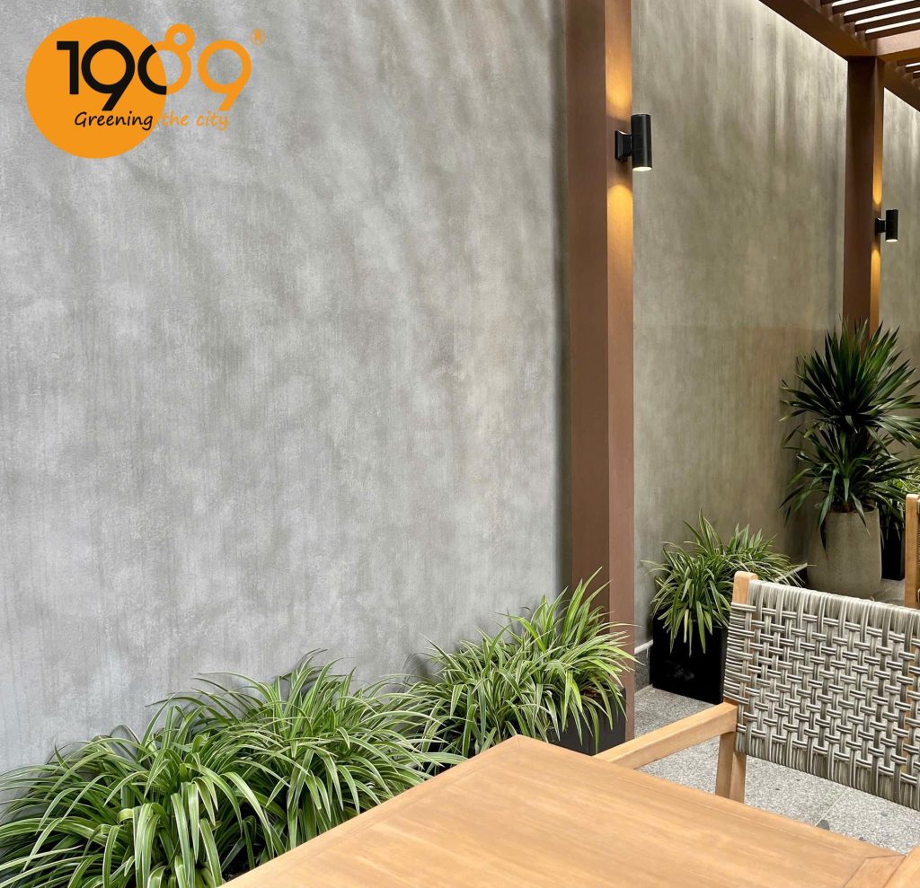 [TOP 20] Cây Cảnh Văn Phòng Có Khả Năng Hút Bức Xạ 