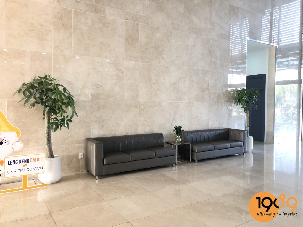 [TOP 20] Cây Cảnh Văn Phòng Có Khả Năng Hút Bức Xạ 