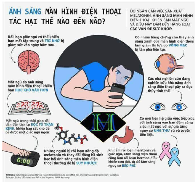 [TOP 20] Cây Cảnh Văn Phòng Có Khả Năng Hút Bức Xạ 