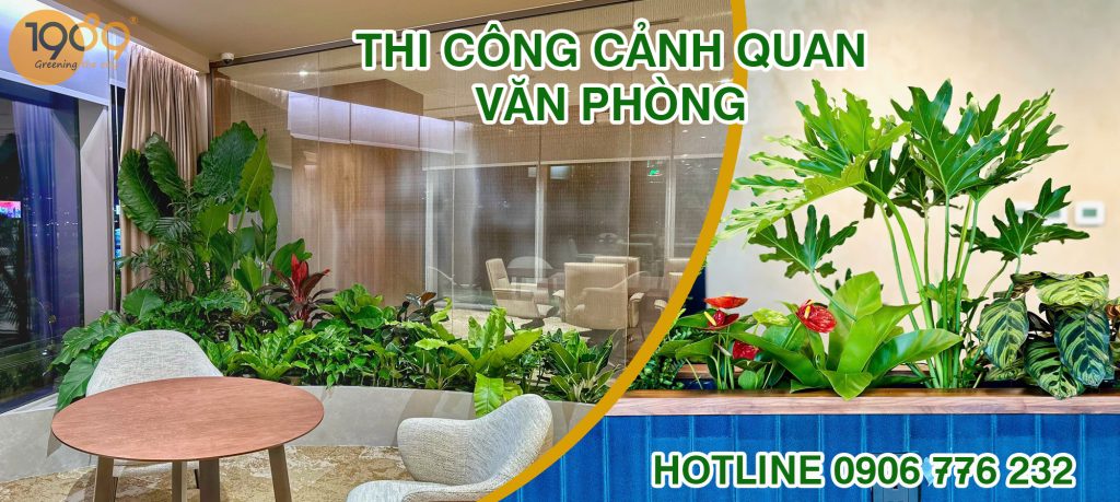 Sử Dụng Dịch Vụ Thuê Cây Văn Phòng Mang Lại Lợi Ích Gì?