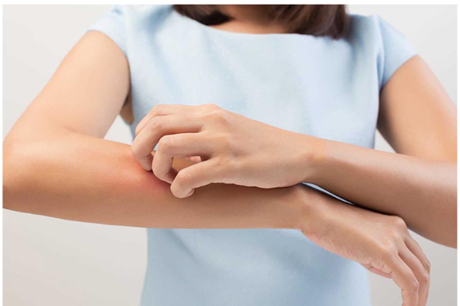 [TOP 20] Cây Cảnh Văn Phòng Có Khả Năng Hút Bức Xạ 