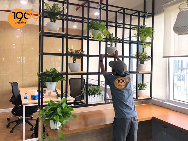 Sử Dụng Dịch Vụ Thuê Cây Văn Phòng Mang Lại Lợi Ích Gì?