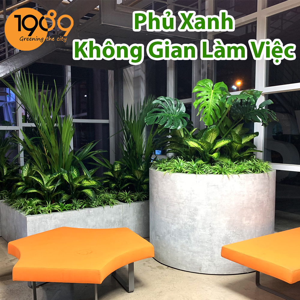 9 Lý do bạn nên Thuê Cây Cảnh Văn Phòng