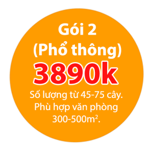 Gói thuê cây văn phòng siêu rẻ