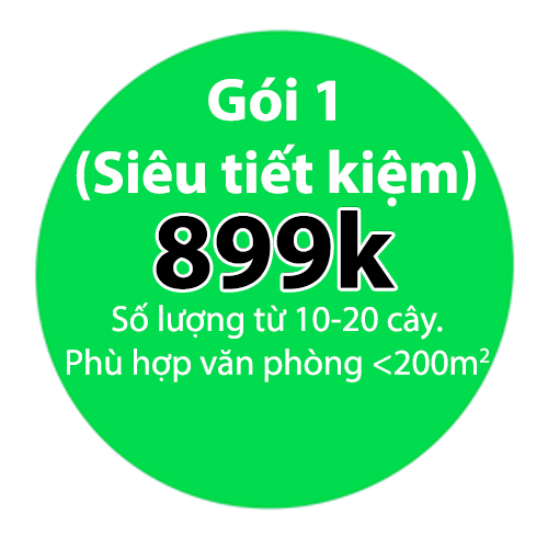 Gói thuê cây văn phòng siêu rẻ